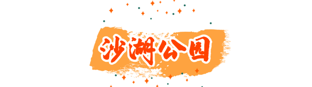 坐地铁，打卡武汉第42届金秋菊展