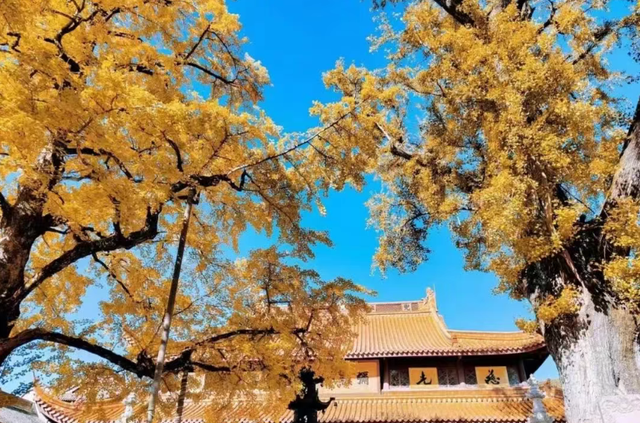 邂逅江南秋冬之美，浙江推出20条秋冬季乡村旅游精品线路