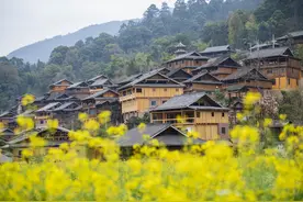 贵州从江：侗寨花开引客来图片