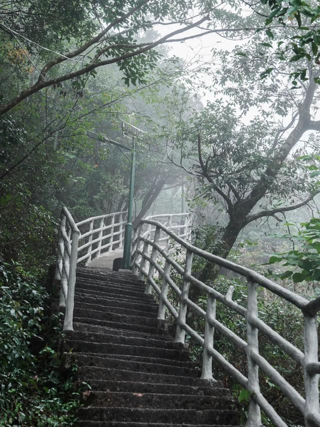 金沙索道暂休，三清山美景不休！2025年末错峰赏景指南