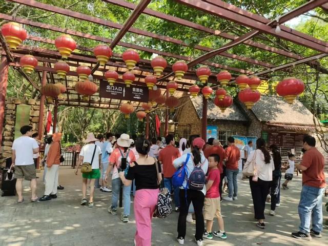 “双节”期间四会“文旅体”融合玩出新花样→