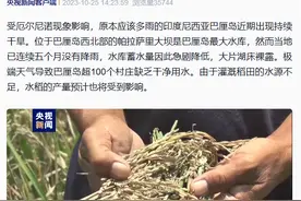 印尼5个月未降雨，巴厘岛已进入干旱紧急状态，超100个村庄缺乏干净用水图片