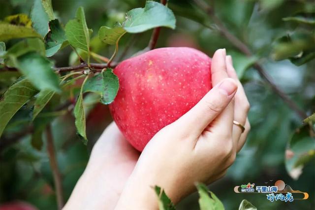 出发！抓住秋天的尾巴威海『拾秋地图』上新啦