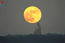 火焰腾飞，红火过中秋！西樵松塘村“烧番塔”薪火相传图片