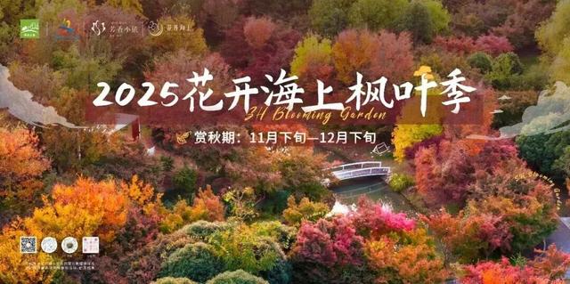 快来“薅羊毛”！金山这些景点限时免费