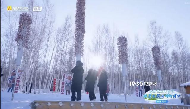 光影绽放中国行·跟着电影游呼伦贝尔：带你解锁海拉尔、牙克石的新玩法！