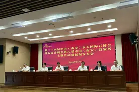 南安石博会11月8日启幕，将开启直播带货模式……图片
