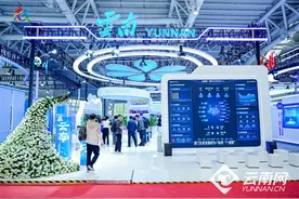 云南省融信服平台亮相第八届数字中国建设峰会图片