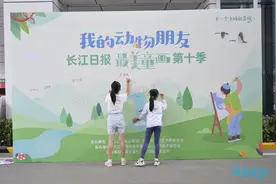 用画笔守护“动物朋友”，长江日报最美童画第十季决赛开赛图片