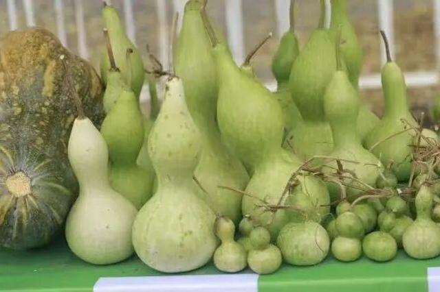 果香满镇！10月18日，一起相约延庆旧县