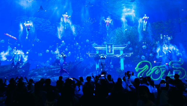 郑州海昌海洋公园暑期迎百万客流，豫泰文旅融合燃动中原