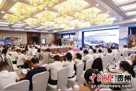 “中国光彩事业毕节行”文化旅游平行专场活动举行图片