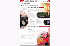 赏花灯、逛庙会、买年礼，来蟠龙天地感受中国年丨游园逛店喜迎春图片