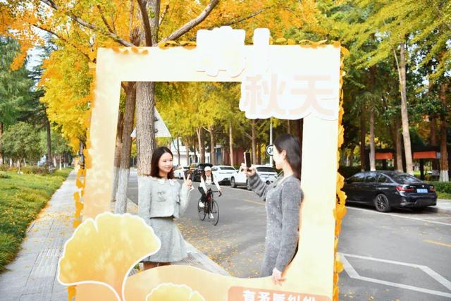 绝美！走，打卡去！