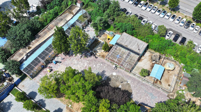 3.0时代开启！临沂动植物园焕新重塑，打造城市生态新地标