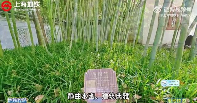 搭地铁游古猗园、南翔老街