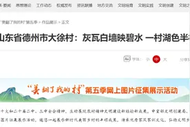 中国文明网关注！德州这个村美翻啦图片