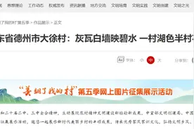 中国文明网关注！德州这个村美翻啦图片