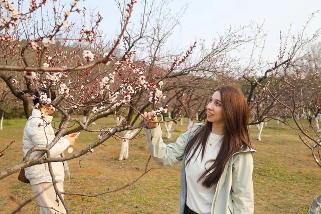 徐州这条路，美出圈了！