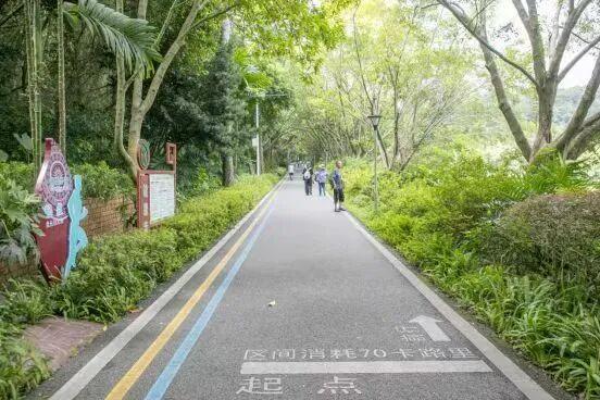 跟着赛事去旅行 | 从赛道切换到漫游频道！在南宁感受一次治愈身心的冬日漫游