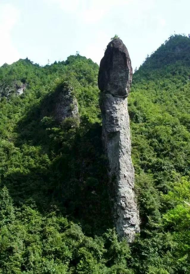 晚潮｜九龙山记：绿野深处的亿年心跳
