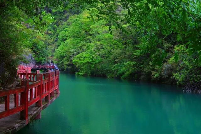 短短短短短……且赏且珍惜