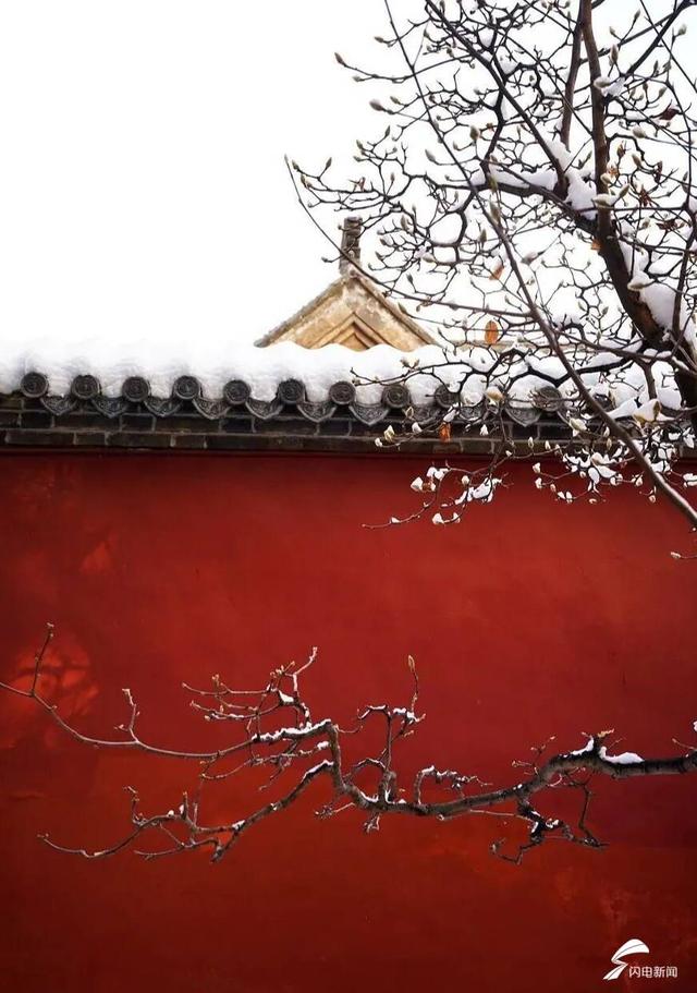 组图丨雪落泰山普照寺 古院美成冬日壁纸