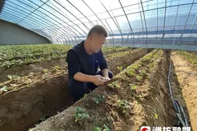 村村有好戏 | “渔耕”串起生态农业“循环链”图片