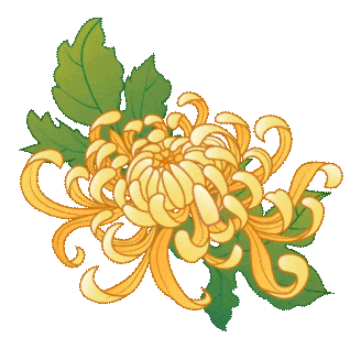 登高望远在龙虎，重阳遇见好秋光！