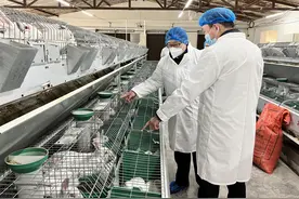 全力拼经济图片
