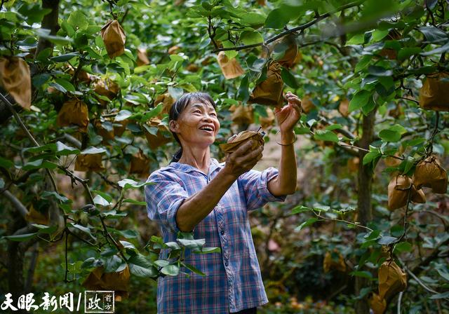 天柱县高酿镇：瀑布边上开“村咖”，云海日出成爆款