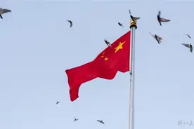 大陆进一步中止ECFA关税减让意味着什么？图片