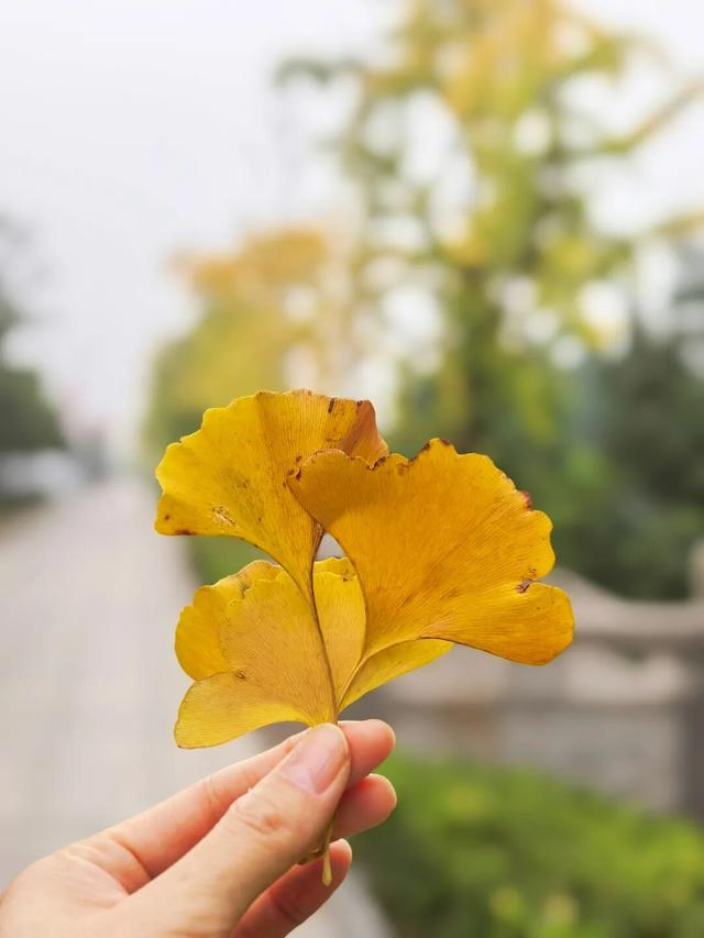 别眨眼，接下来的新干是这样的→