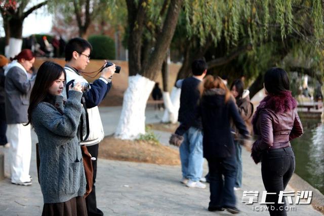 组图｜又是好天气，市民乐游园