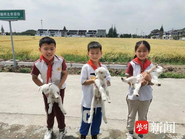 探寻蚕桑文化，领略农耕之美！“何北村秋收农耕”亲子体验活动来咯