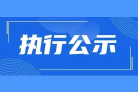 邵阳县人民法院关于向案外人发放执行案款的公示图片