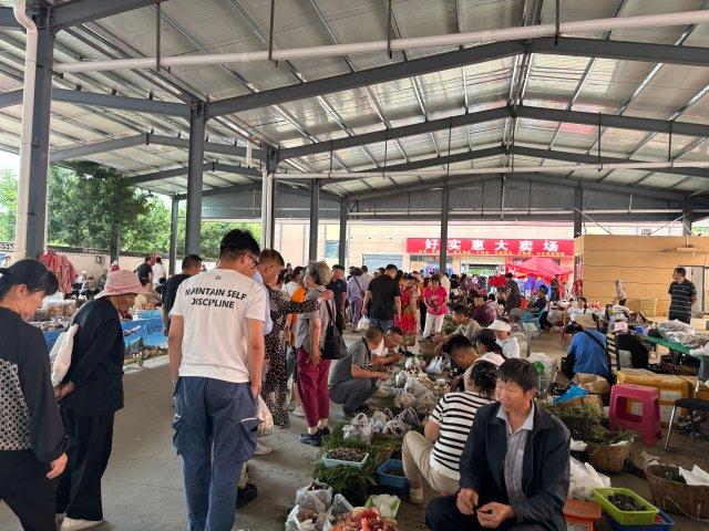 当野生菌撑起小伞，玉溪易门迎来最“鲜”旅游季
