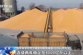 中国人的“饭碗”有多牢？今年全年粮食收购量或将达8400亿斤！图片