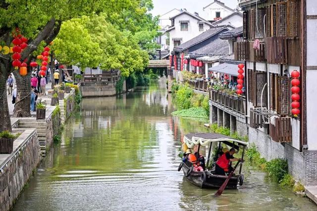 重阳陪长辈去哪儿？奉贤3条文旅线路帮你安排好了！