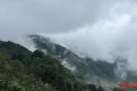 哀牢山爆火背后：向导称未来半个月徒步团已报满 几年前曾有居民狩猎时误杀同伴图片
