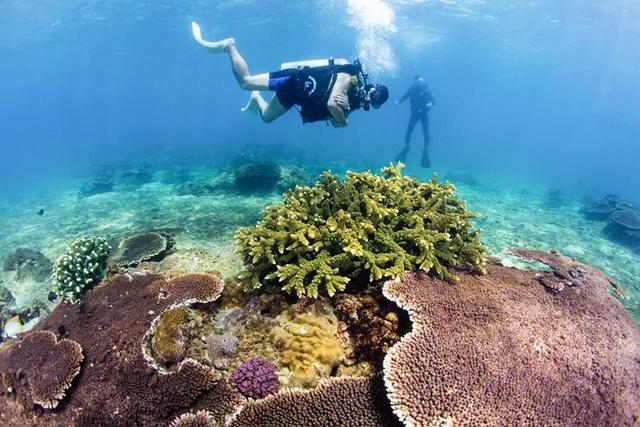 喜报！陵水分界洲岛旅游区获评2025年中国体育旅游精品景区