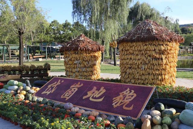 蒙阴十一“放大招”！各大景区活动清单出炉，等你来嗨