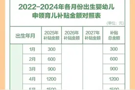 国家育儿补贴方案公布：哪些家庭可领取？补贴金额对照表出炉图片