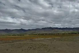 雪域高原焕新颜｜天然适合高原环境，荒滩上的藜麦如何“出圈”图片