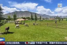 水果扎根、花卉安家！30年来西藏产业有了新变化图片