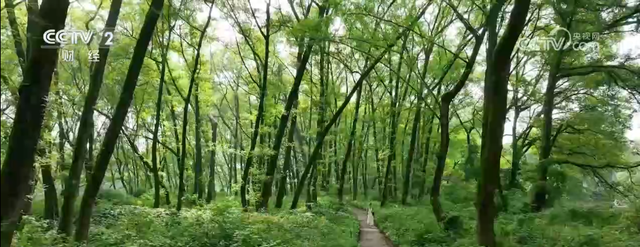 N种玩法解锁各地“清凉”新场景 暑期“小美好”汇成消费“大留量”