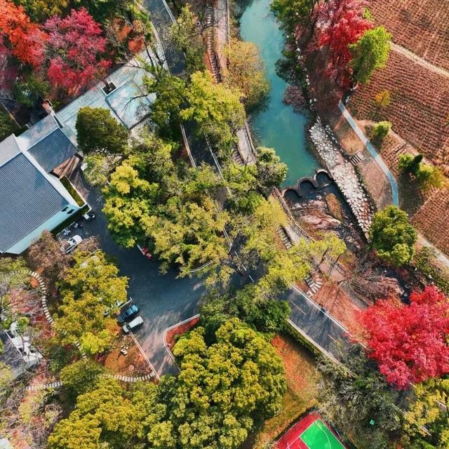 你好，青原山 | 这抹初冬红韵，藏着最热烈的山野浪漫