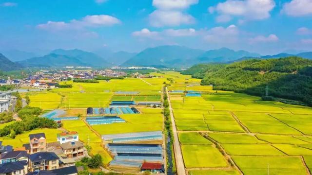 本来应该从从容容迎来秋日，现在是匆匆忙忙一冷再冷……
