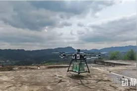 从枝头到舌尖最快次日达，贵州春茶抢“鲜”东部市场图片