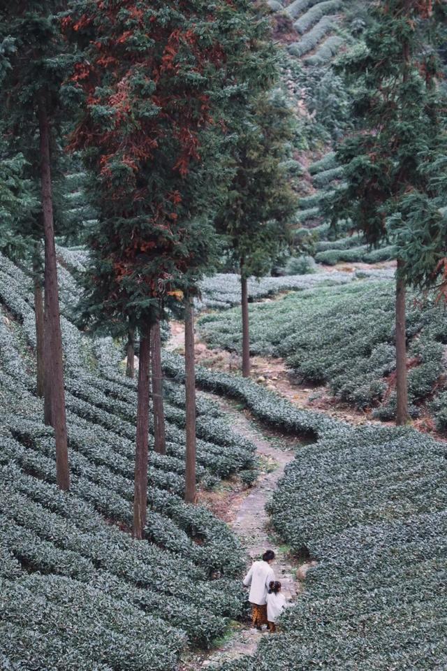 茶山美宿，安逸悠闲的秋假攻略请收好~